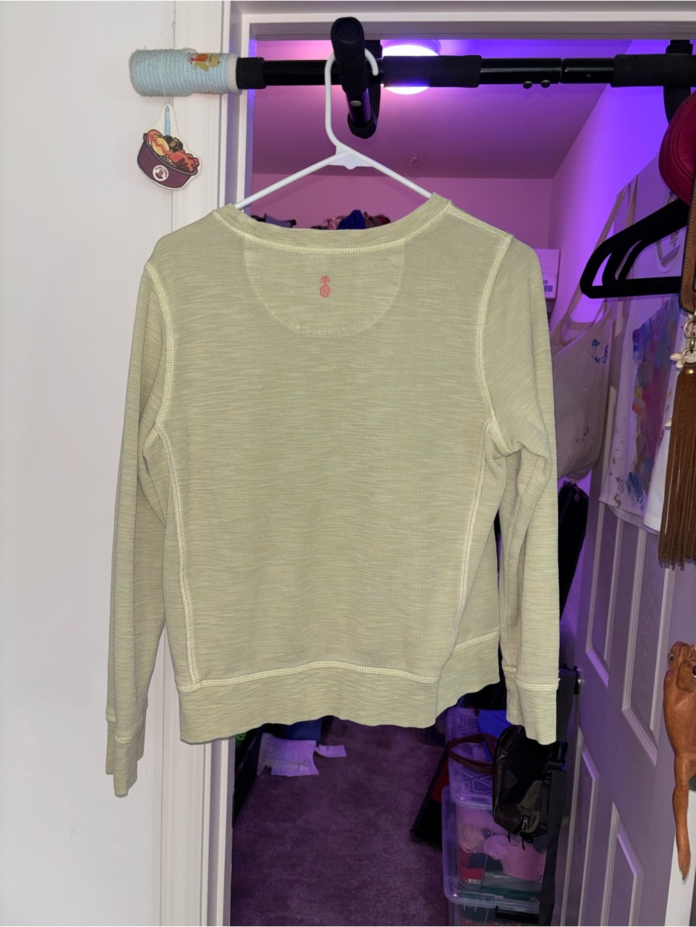 Tommy Bahama Women's Light Sage Green Long-Sleeve Pullover with Pineapple Detail